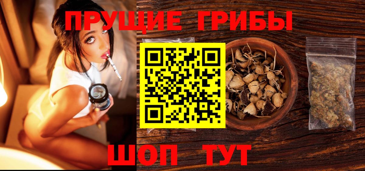 Псилоцибиновые грибы прущие грибы  Галлюциногенные грибы Psilocybine cubensis  Муравленко  Вход с VPN 